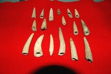 Antler Points 2.jpg