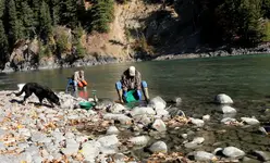 Gold Panning.webp