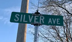 Silver Ave Gimp.webp