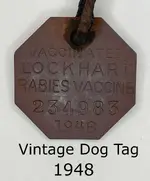 Dog Tag 1948 Gimp.webp