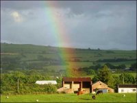 rainbow_benson_july08_470x353.jpg