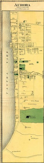 1875_ledyard_ny_map2.jpg