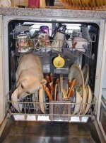 Dishwasher.jpg