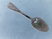 spoon.jpg