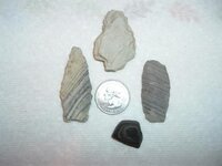 10-9 finds.JPG