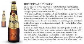 buffalo_and_beer_theory.jpg