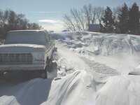 blizzard11-08.jpg