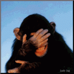 Chimp aughinggif.gif