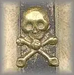 skull & crossbones.webp