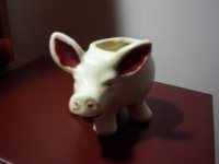 little pig 001.JPG