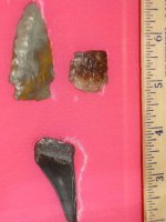 2 arrowheads sharks tooth2.jpg