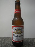 A_bottle_of_Budweiser (Medium).jpg