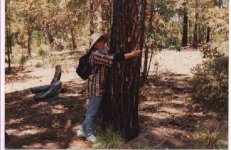 Tiger hugging a tree.jpg