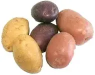 food potato varieties.webp