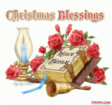 9t-xmasblessing.gif