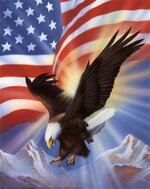 5819~American-Eagle-and-Flag-II-Posters.jpg