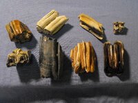 2009_0211River-Finds0002.JPG