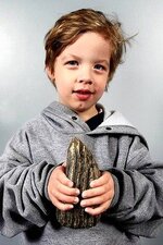 mammoth tooth.jpg