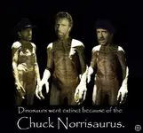 ChuckNorrisaurus.webp