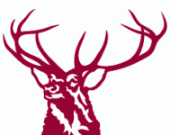 elk hartford.gif