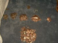 pennies 004.jpg