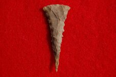 Feurt Site Finds (213).jpg