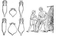 amphora shapes.webp