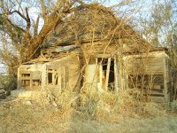 old homestead 1.JPG