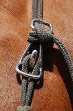 horse rope halter.jpg