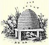 beehive02.webp