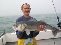 sea-bass2.jpg