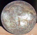 Buffalo nickel.JPG