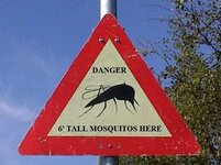 mosquito.jpg