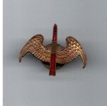 Insignia-Pin-Wings.jpg