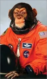 monkey_astronaut.webp