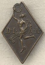 medal DIAA.jpg