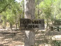 Growler-Corral.webp