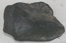 bigfossil 003.jpg