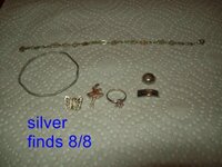 silverfinds80809.jpg