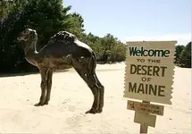 Desert of Maine.webp