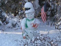 snowman (Small).JPG