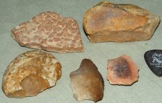 ARTIFACTS COLLECTION 229.jpg