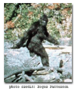 Bigfoot.gif