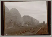 charcoal kilns Tamaulipas,Mex..webp