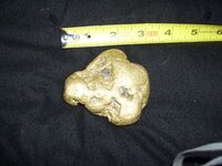 gold nugget.jpg