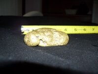 gold nugget2.jpg