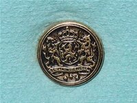 button crest crown lions civilian.jpg