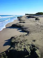 Juno beach rocks.webp