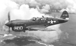 P-40_warhawk_web.jpg