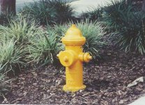 hydrant capplug.jpg